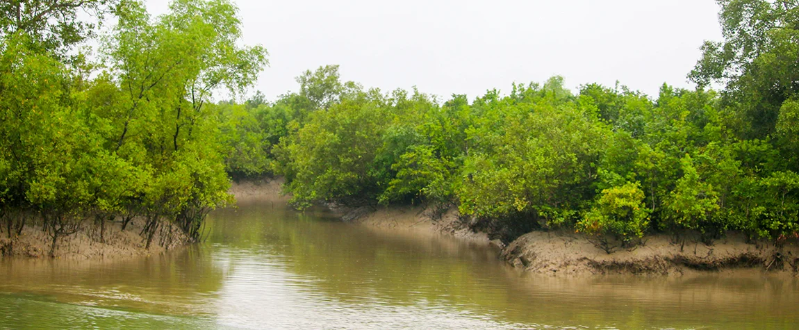 Sundarbans