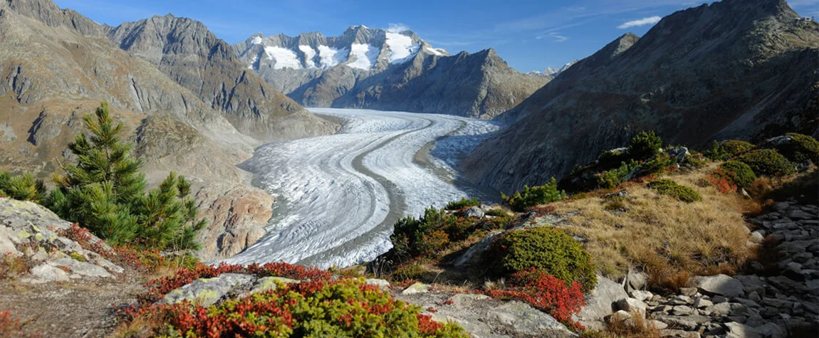 The Aletsch Glacier