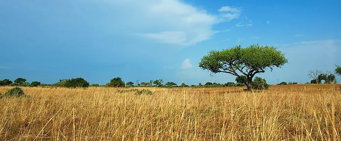 Waza National Park