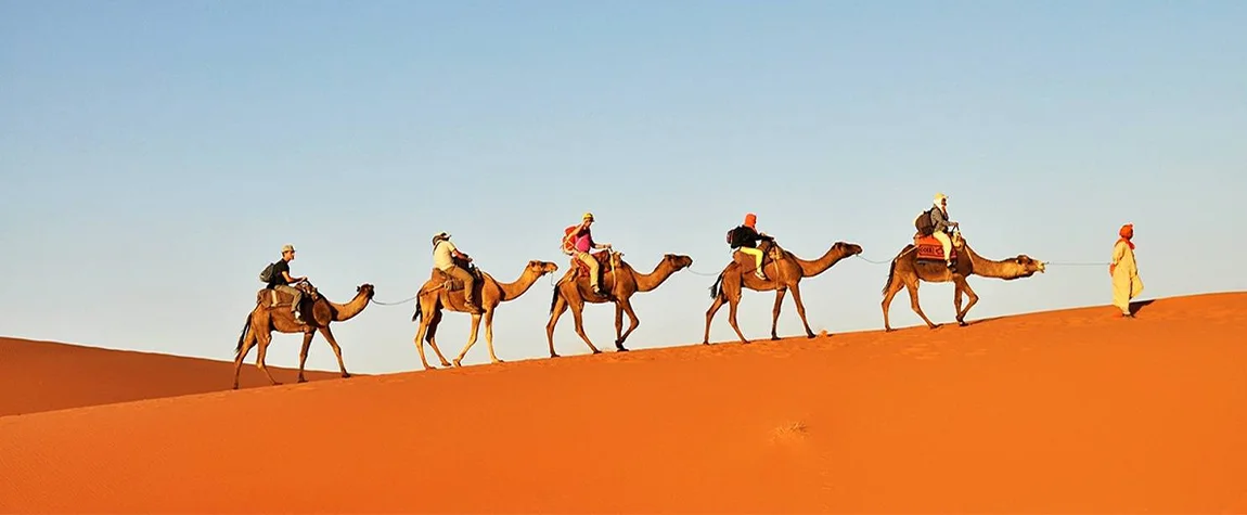 Camel Trekking