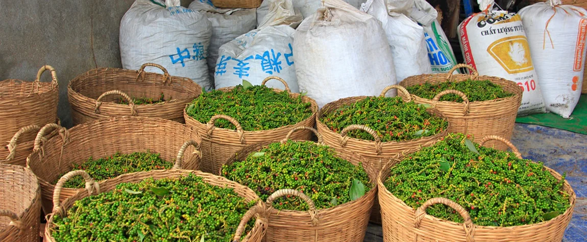 Kampot Pepper