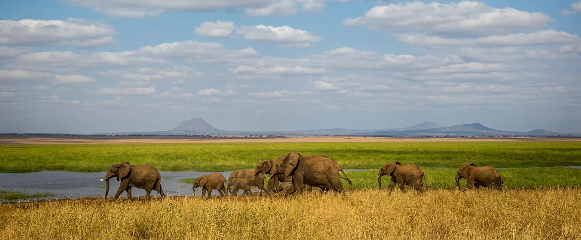 Tarangire National Park