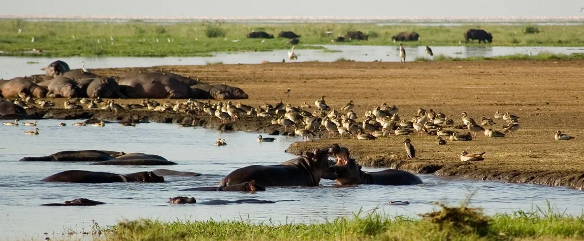 Lake Manyara National Park