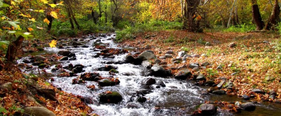 Shikahogh State Reserve - Places to visit in Armenia