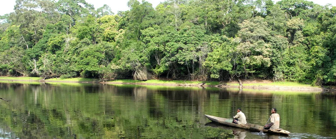 Dja Faunal Reserve - Tourist places in Cameroon