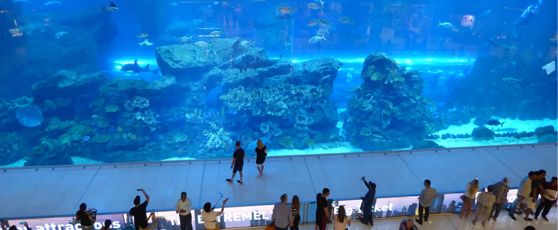 Dubai Aquarium & Underwater Zoo