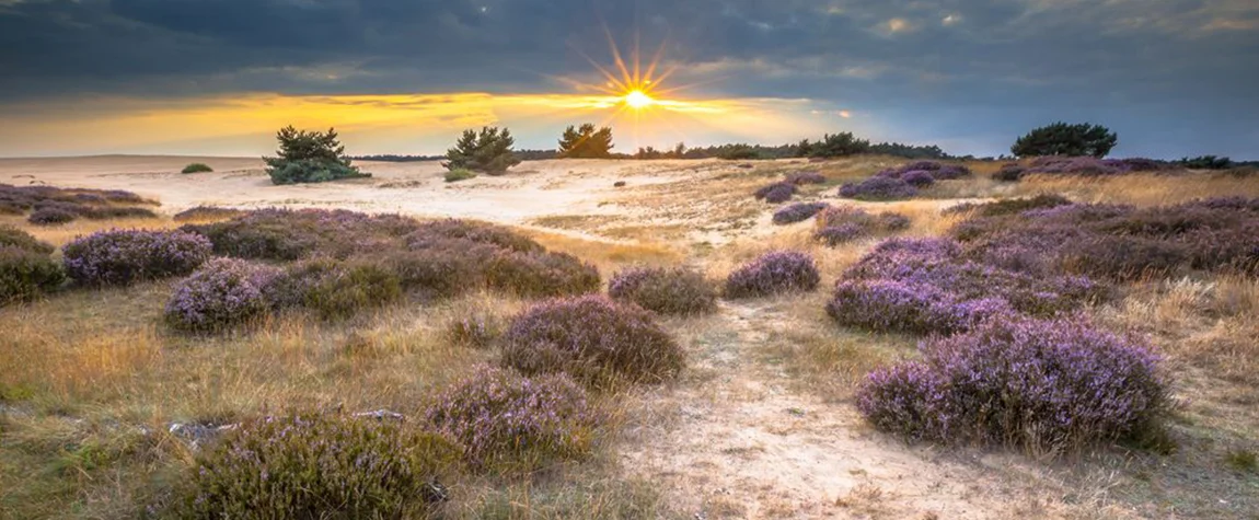 Explore Hoge Veluwe National Park - Things to Do in Netherlands