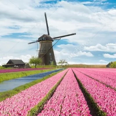 The 10 Unique Things to Do in Netherlands