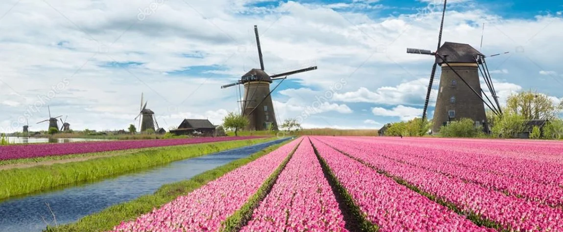 The 10 Unique Things to Do in Netherlands