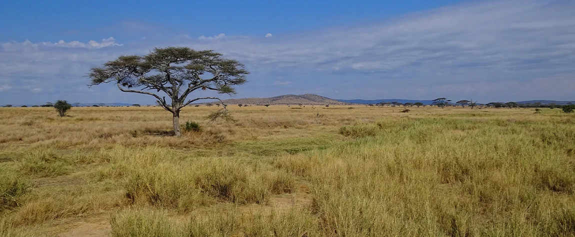 Serengeti National Park