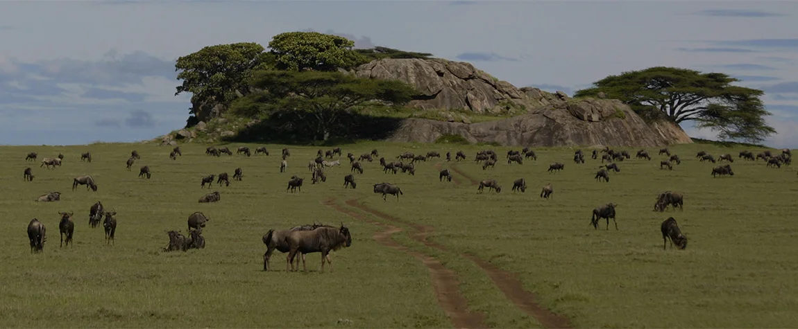 Serengeti National Park