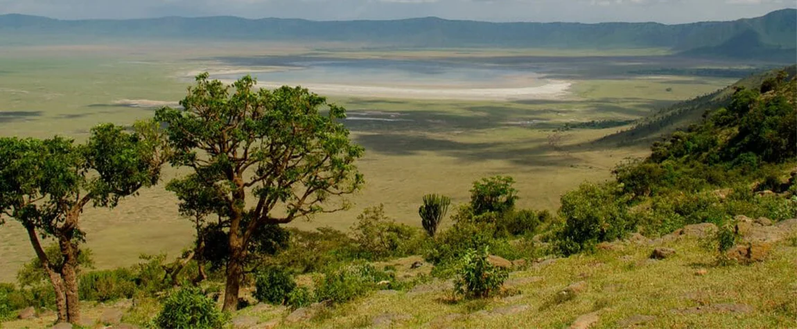 Ngorongoro Crater