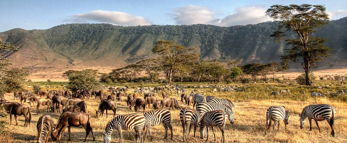 Ngorongoro Crater