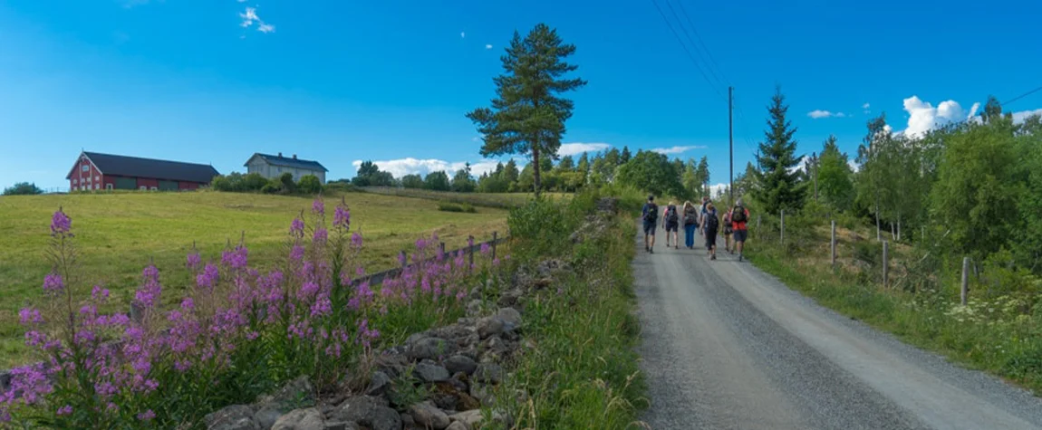 The Way of St. Olav - places to visit in Sweden