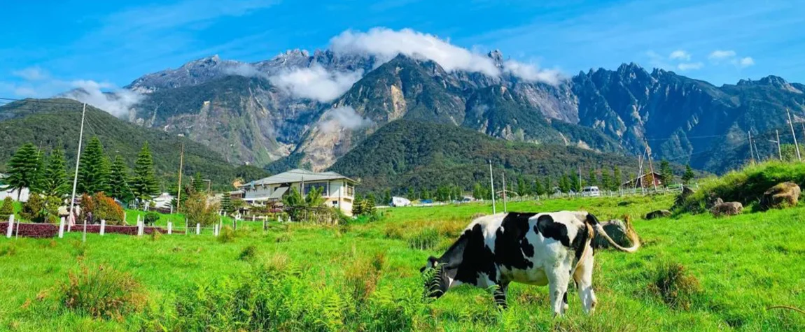 Kinabalu National Park, Sabah