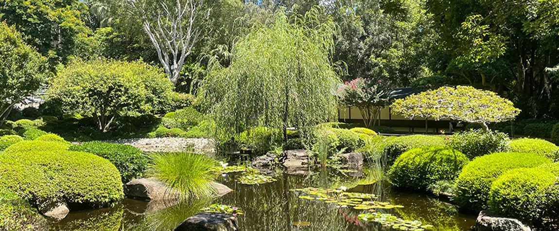 Stroll through the Brisbane Botanic Gardens Mount Coot-Tha - Things to Do in Brisbane