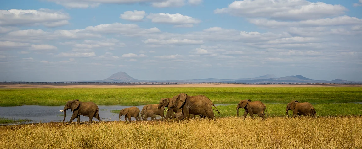 Tarangire National Park