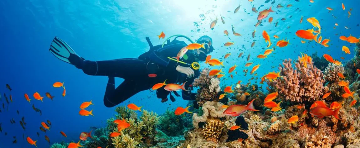 World-Class Diving and Snorkelling - travel to Indonesia