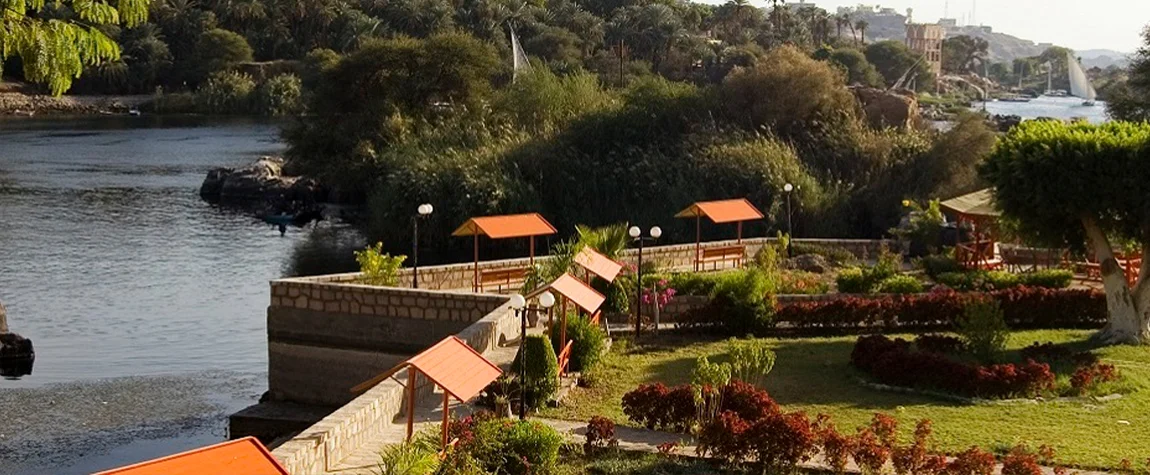 Wander Through the Aswan Botanical Garden