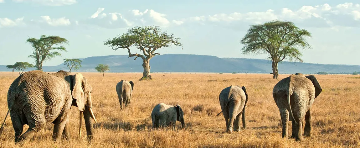 Diverse National Parks