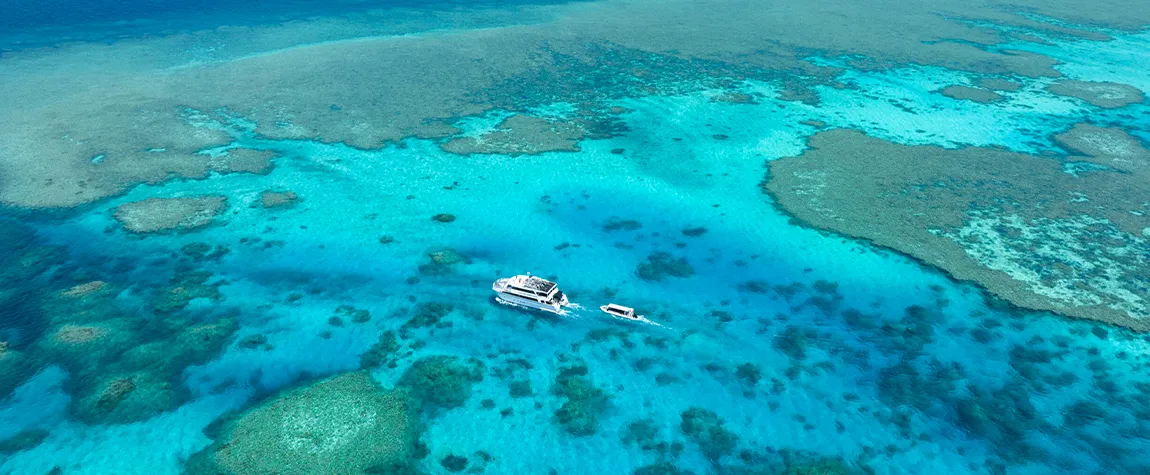 Rowley Shoals, Western Australia