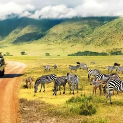 The 7 best Tanzania safari trip destinations