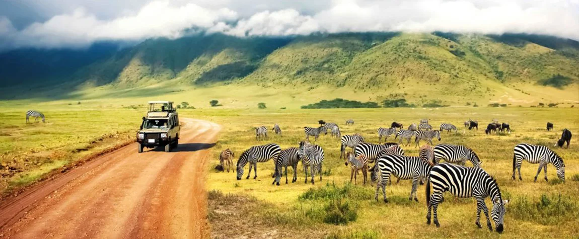 The 7 best Tanzania safari trip destinations