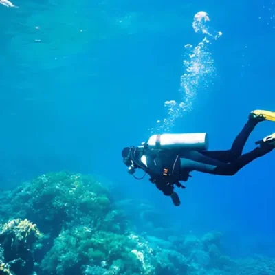 The Best Places to Experience Scuba Diving in Australia