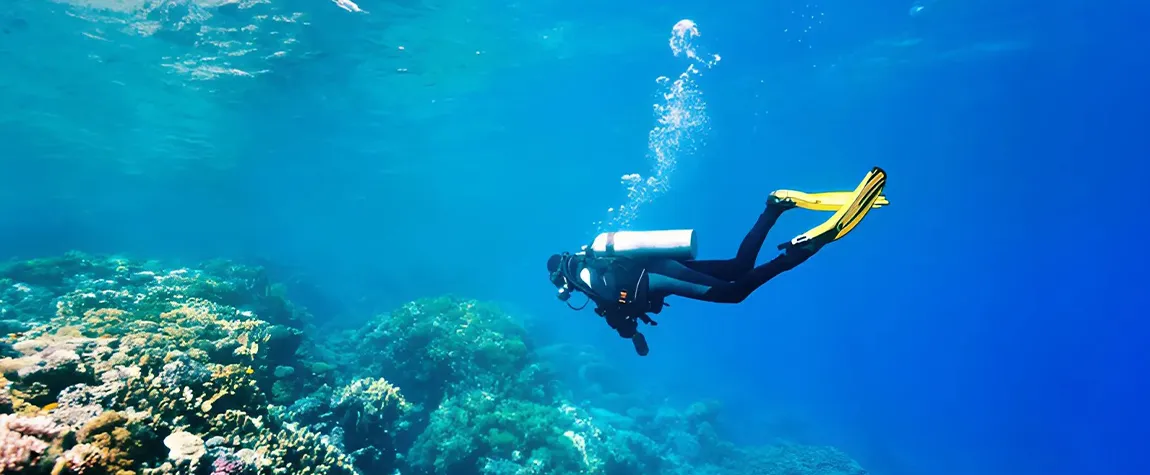 The Best Places to Experience Scuba Diving in Australia