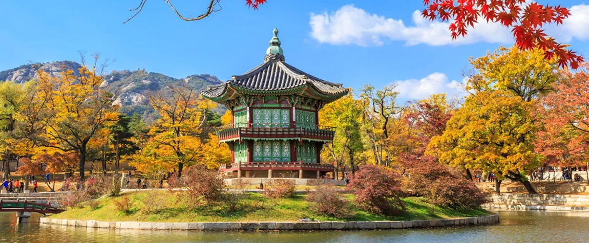 The Best things to do in South Korea on your first trip