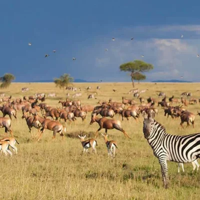 The best tourist attractions in Tanzania