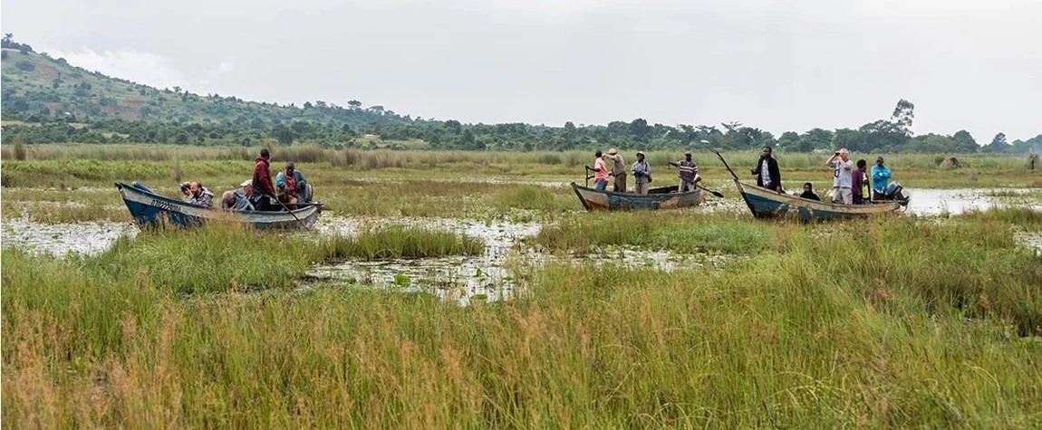 Mabamba Swamp