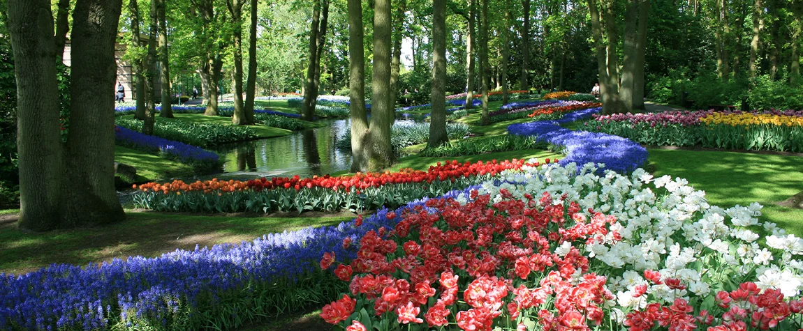 Attractions in the Netherlands