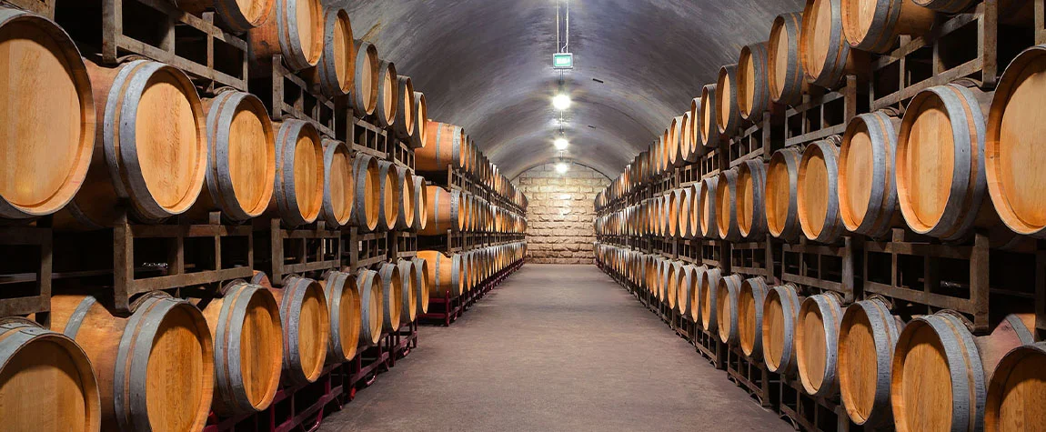 Experience Porto’s Wine Cellars