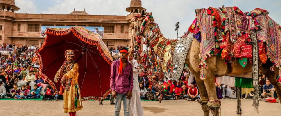 Enjoy a Camel Festival