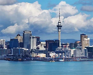 New Zealand Tour Package