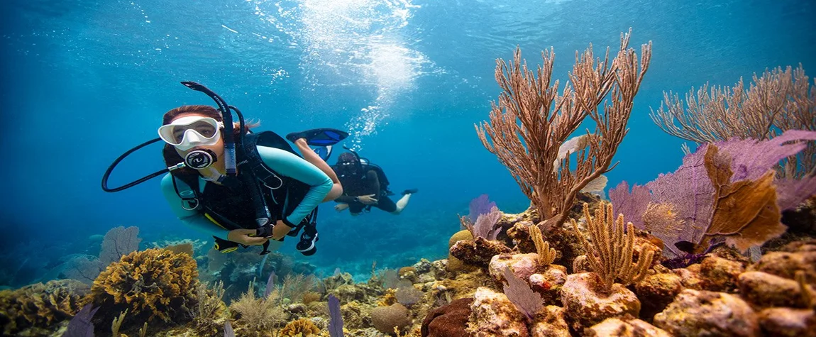 Activities in the Maldives