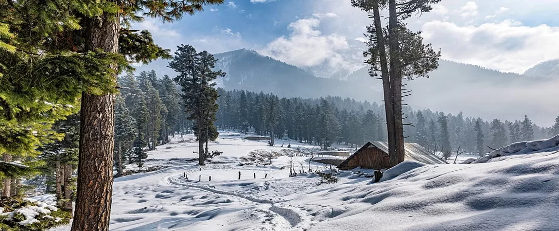 Timing Your Visit for the Best Snowfall - Best time to visit Kashmir