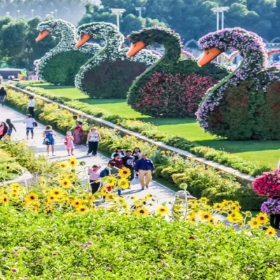 Attractions in Dubai Miracle Garden