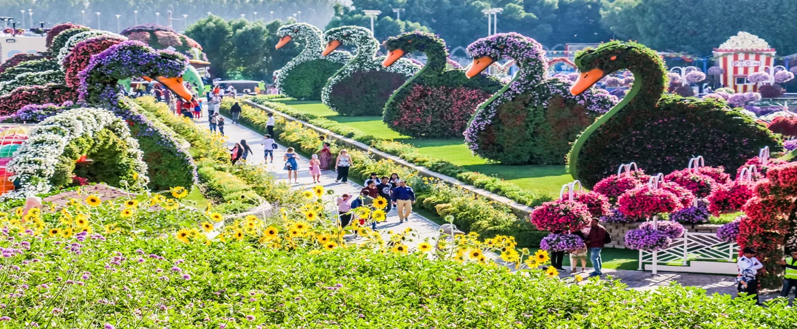 Attractions in Dubai Miracle Garden