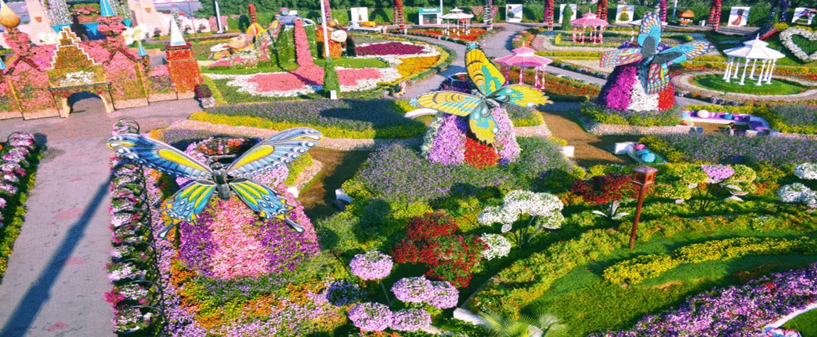 Attractions in Dubai Miracle Garden