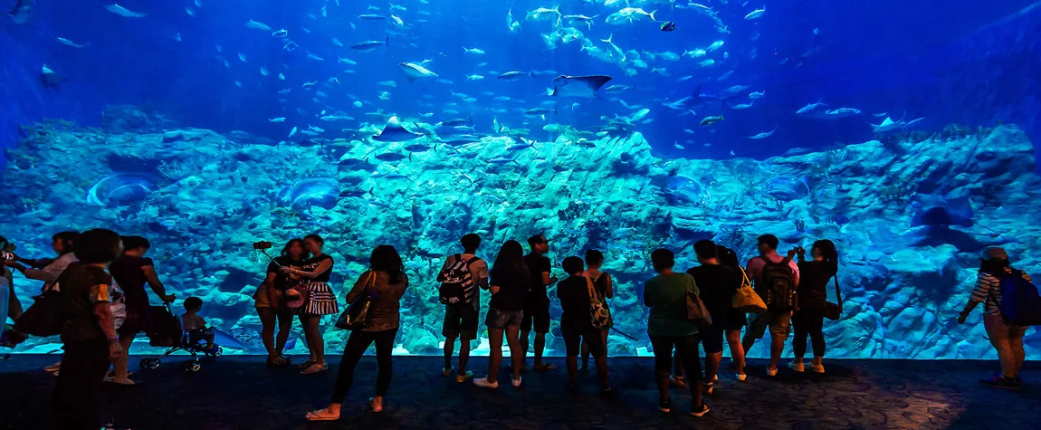 Things to Do in Ocean Park