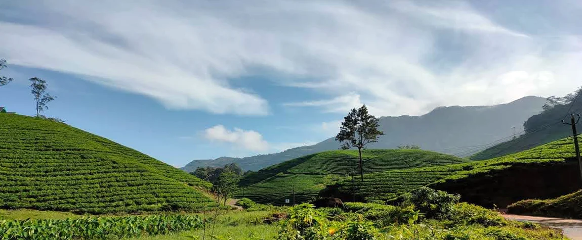 Munnar