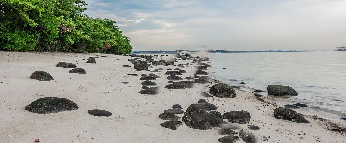 Punggol Beach