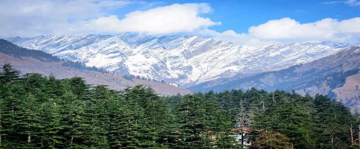 Manali Sanctuary - sightseeing places in Manali