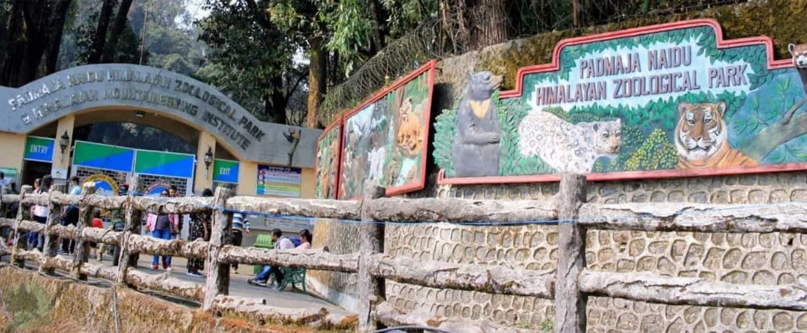 Padmaja Naidu Himalayan Zoological Park