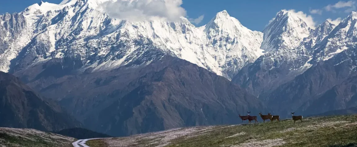 Munsiyari, Uttarakhand