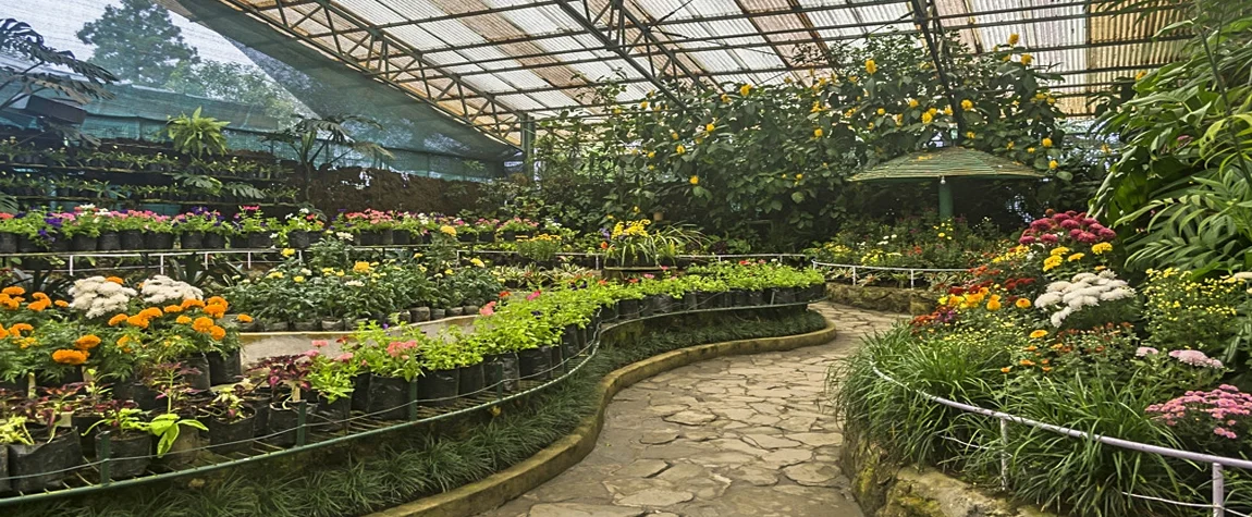 Flower Exhibition Center - tourist destinations in gangtok