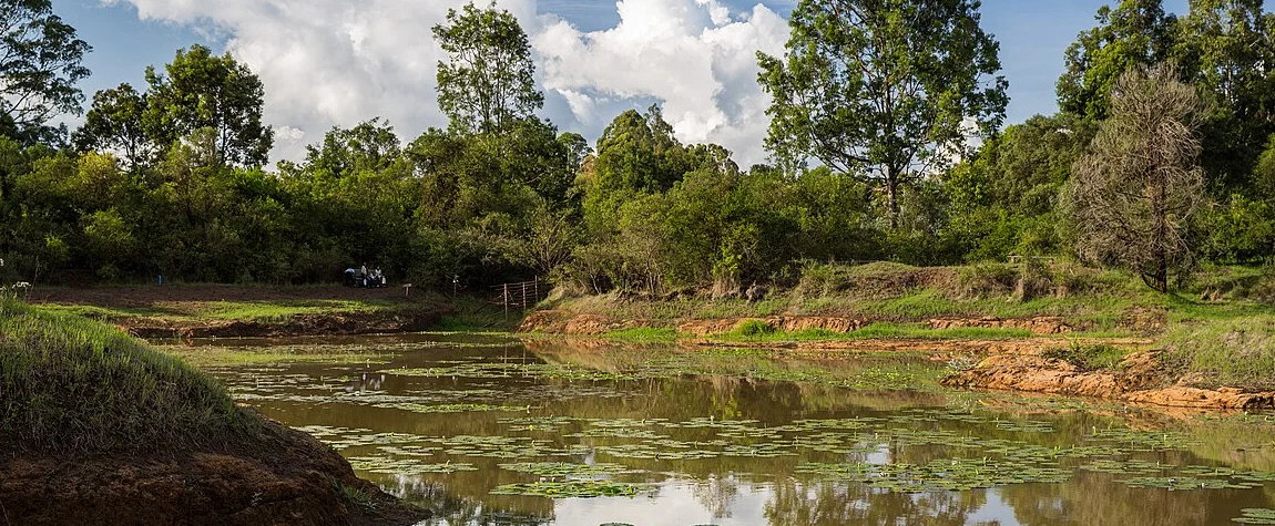 Karura Forest