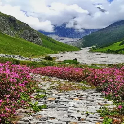 Best time to visit valley of flowers in Uttarakhand